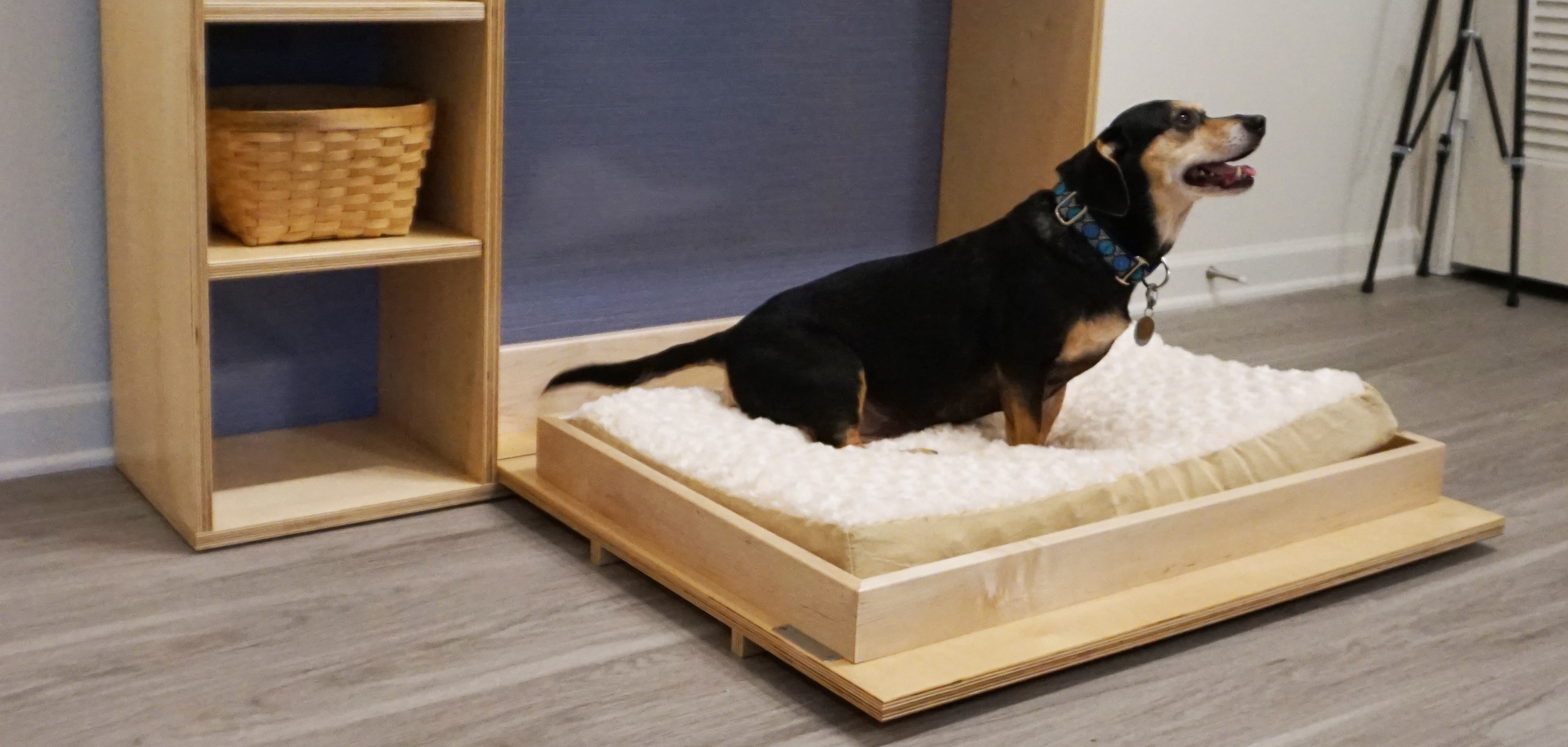 Barkitecture CLT and Little Diversified Architectural Consulting Puppy Pull Out with Formica® Laminate